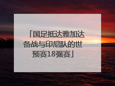 国足抵达雅加达备战与印尼队的世预赛18强赛
